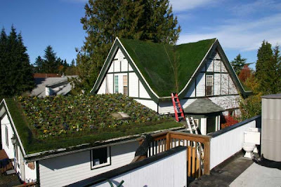 Modern Minimalist Design Home Roof