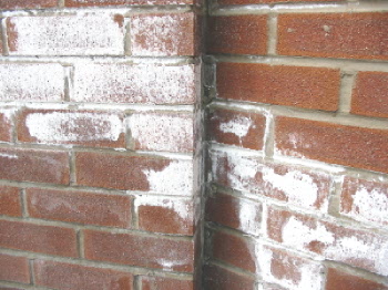 Brick Efflorescence