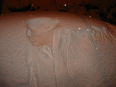 Amazing Snow Prints absolutely incredible