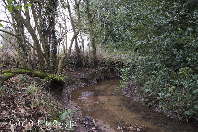 river sherbourne