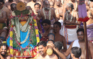 Ippasi Thirumoolam,Sattrumurai, Manavala Maamunigal,Purappadu,2016, Video, Divya Prabhandam,Triplicane,Thiruvallikeni,Utsavam,