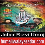 http://www.humaliwalayazadar.com/2014/10/johar-rizvi-urooj-nohay-2015.html