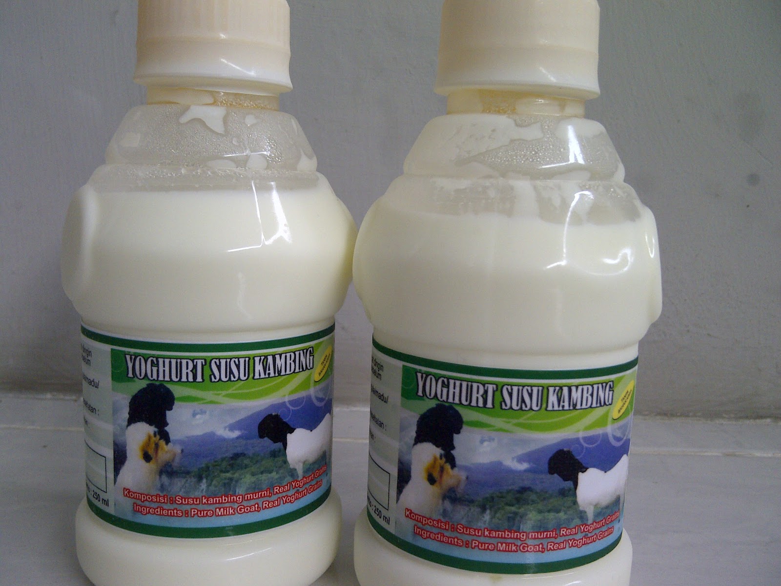 Our Product SUSU  KAMBING ETAWA SURABAYA