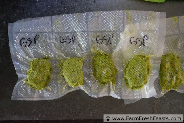 garlic scape pesto cubes in vacuum-packed bag ready to be frozen