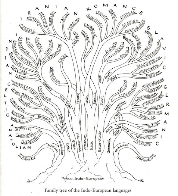A tree that shows the roots and development  of the family of Indo-European languages