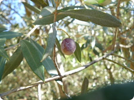 P1250371