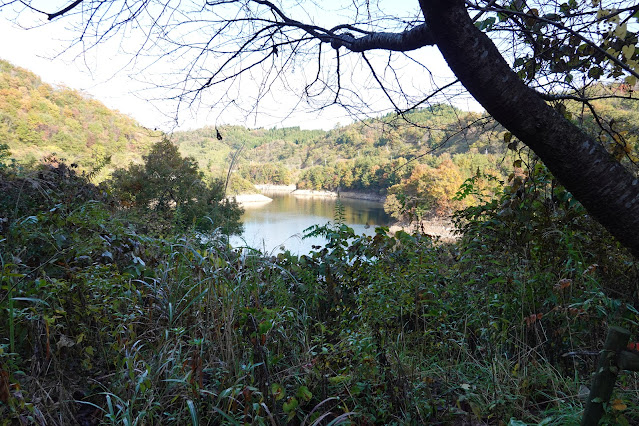 鳥取県西伯郡南部町朝金 朝鍋ダム