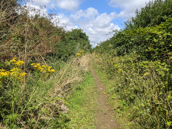 Pirton footpath 6 with the sand quarry on the right