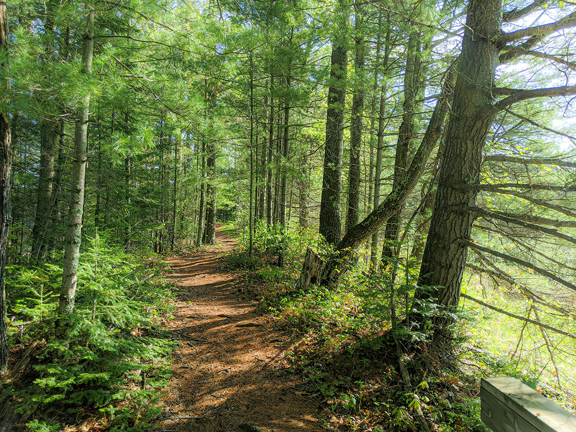 Escanaba Lake Loop Trail