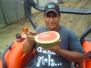 MINI SANDIA