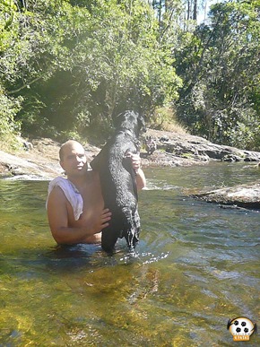 Dog´s Trekking 5 (162_1) (150)