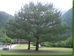 2011花東行 062