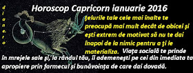 Horoscop Capricorn ianuarie 2016