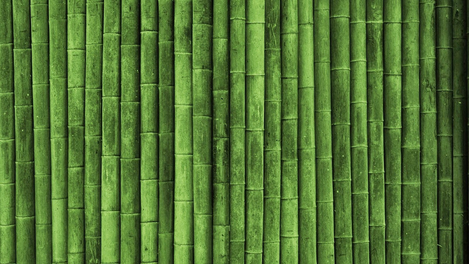 Saung KaWe Kang Waone Bambu  Wallpaper 