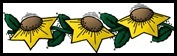 Sunflowers 1[4]