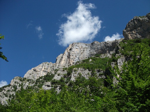 Cime