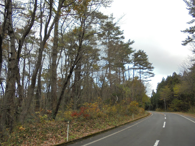 真っすぐ進むと種原から香取につながる道（314号道路）