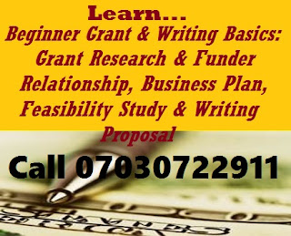 Professional Grant Proposal Writers In Nigeria | You Too Can Write Business Plans & Feasibility Study