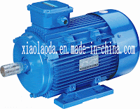 Motor Ac Jaula De Ardilla4