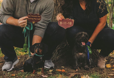 Couple crouching behind two dogs showing note with marriage date