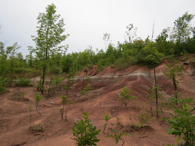 Cheltenham Badlands BTC.