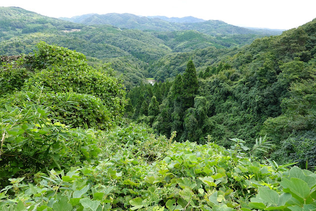 島根県出雲市小境町　ペット萬霊塔あたりからの眺望