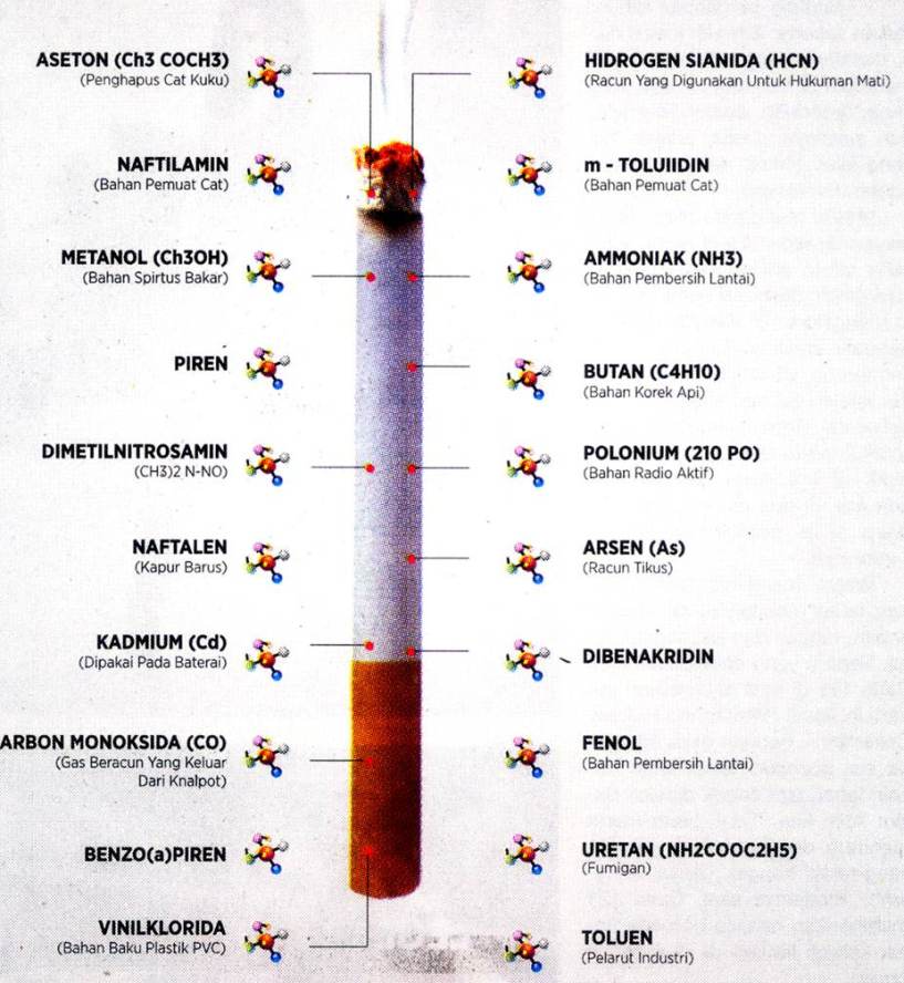 AzidAkaMember Blog ROKOK  PEMBUNUH PALING MEMATIKAN DAN 