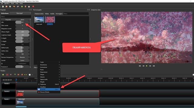applicare la trasparenza al video sovrastante