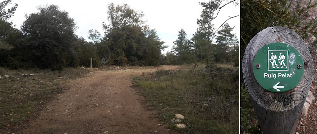 GR-7 ARBOLÍ A MONTRAL, camí al Boscos de Vicent al terme municipal de Vilaplana i sender al Cim del Puig Pelat