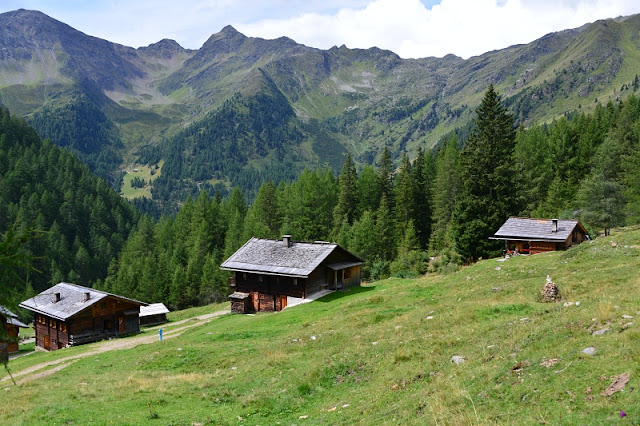 PANORAMA SU MALGA OBERSTALLER