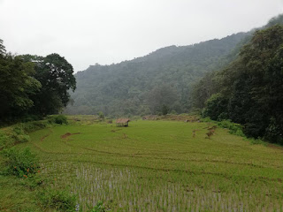 Lamasooriya Valley