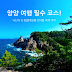 양양 여행 필수 코스! 낙산사 & 정월대보름 모닥불 축제 까지