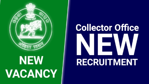 Odisha Collecter Office new Recruitment 2024 | Odisha Collecter Office new Job Notification  