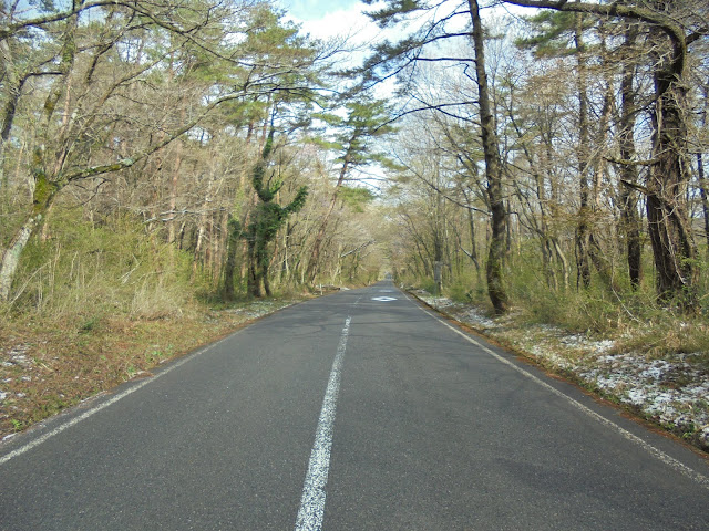 大山口停車場大山線を降ります