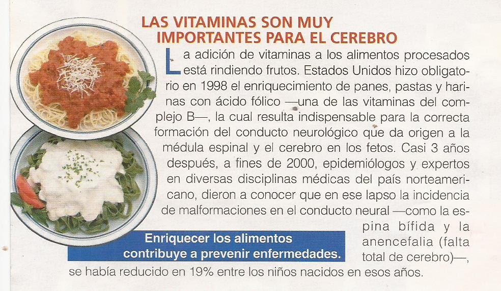 LAS VITAMINAS  SON  MUY  IMPORTANTES  PARA  EL  CEREBRO