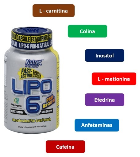 Quemador de grasa - Componentes