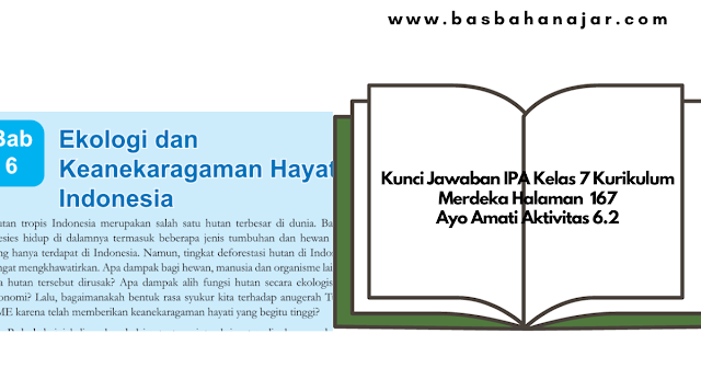 Kunci Jawaban IPA Kelas 7 Kurikulum Merdeka Halaman 167 Ayo Amati Aktivitas 6.2