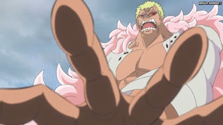 ワンピースアニメ ドレスローザ編 699話 ドフラミンゴ ドフィ DonQuixote Doflamingo | ONE PIECE Episode 699