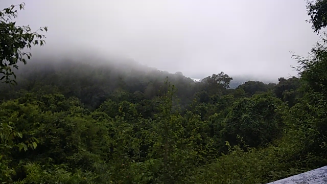 Way to Valparai 