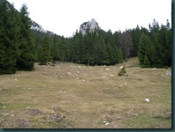 DSCN1435