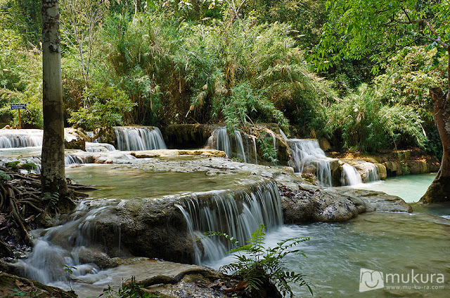 น้ำตกตาดกวางสี (Kuang Si Waterfall) หลวงพระบาง