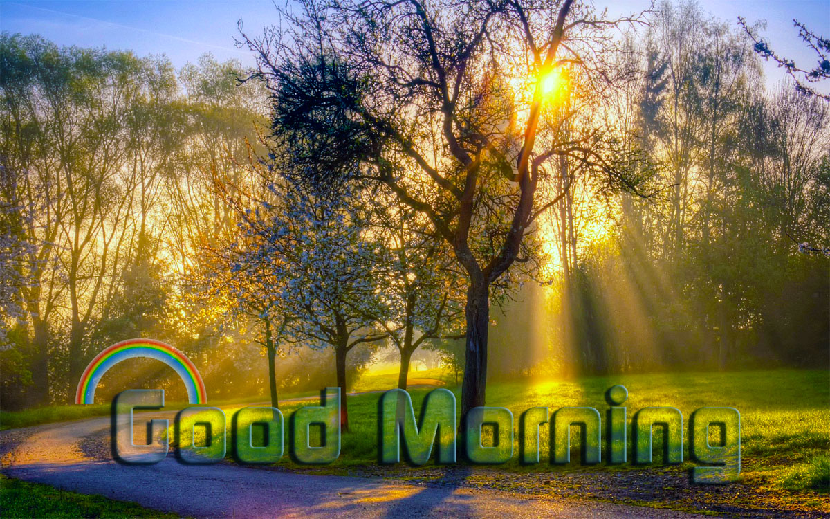 Beautiful Morning Wishes Nature Image