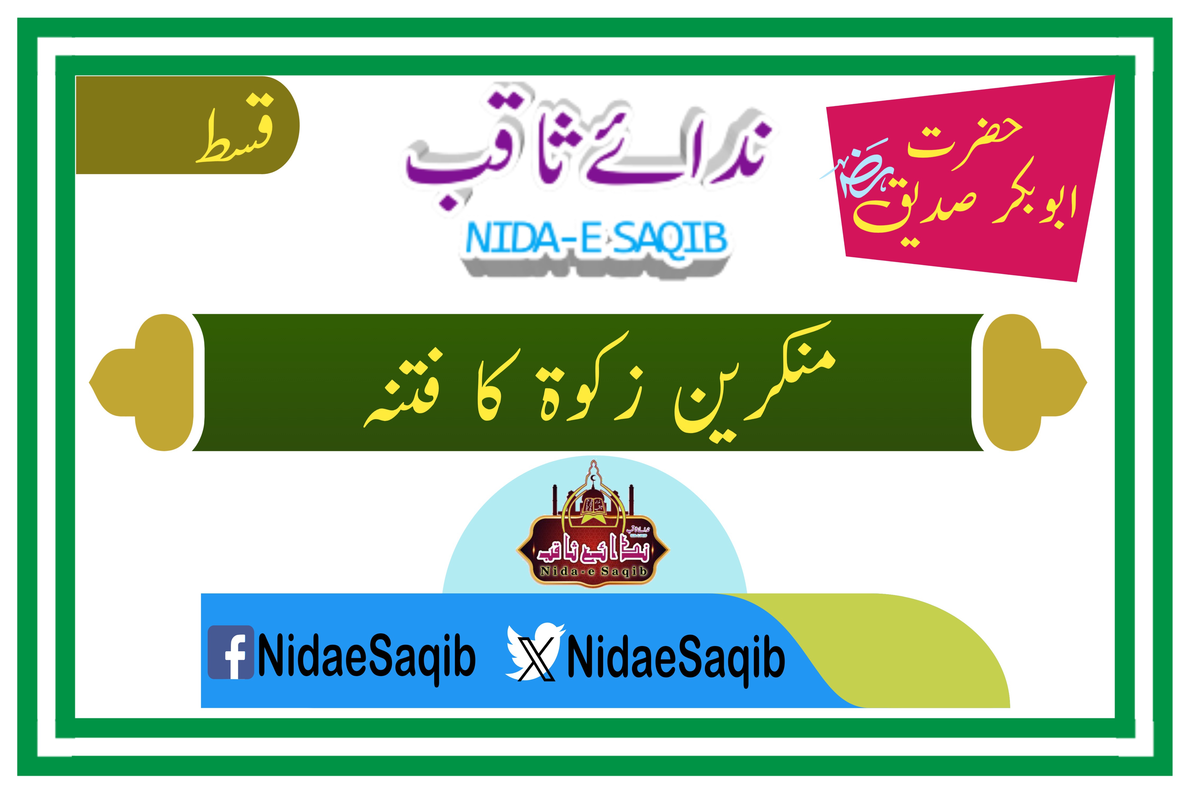 Nidae Saqib
