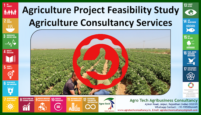 Ensure Success with Our Agriculture Project Feasibility Study Agriculture Consultancy Services, Agriculture Project Feasibility Study Agriculture Consultancy Services, Agriculture Project Feasibility Study  Consultancy, Agriculture Consultancy, Agribusiness Consultancy, Agriculture Project, Agriculture Consultant, Agriculture Advisory