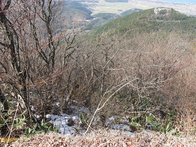 孝霊山　山頂からの風景