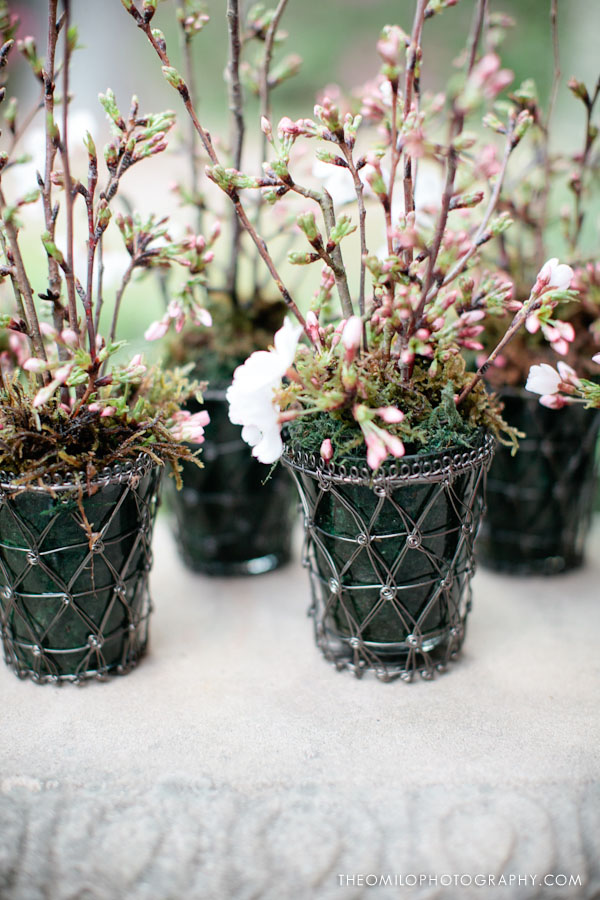 a perfect mini centerpiece when filled with moss and cherry blossoms