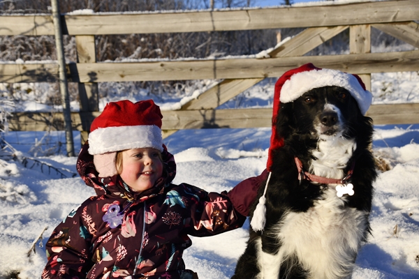 vinterstemning julekos sokna