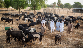 7 Things you should know about RUGA settlement