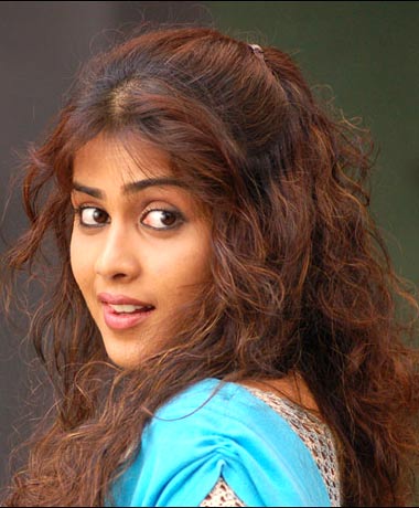 sweety the chick wallpapers. Today's Beauty Genelia D'Souza