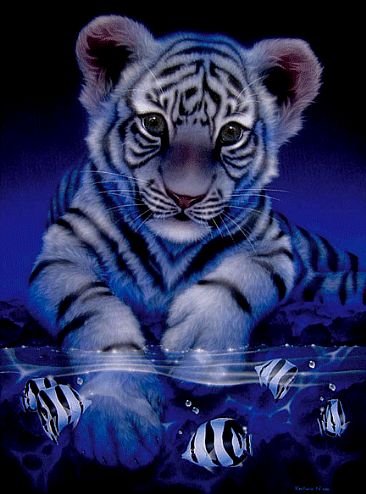 white baby tiger